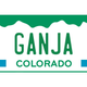 Image for article titled Colorado Auctions Off Weed-Themed License Plates To Make Some Green For A Good Cause